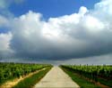 Wolken ber Wingert